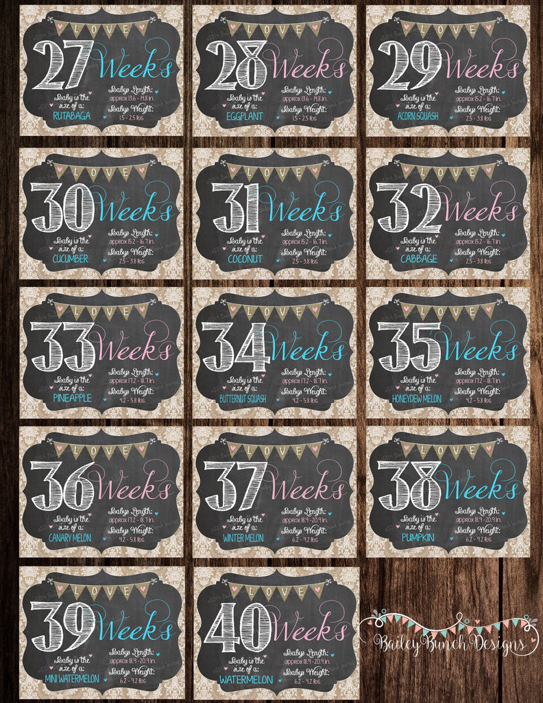 Shabby Chic Weekly Pregnancy Chalkboard, Pregnancy Countdown DOWNLOAD IDSHABPREGWK0520
