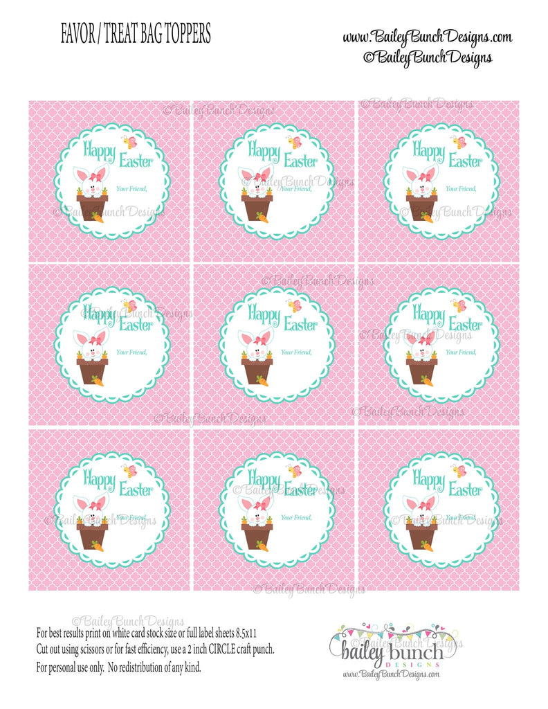 Easter Treat Labels, Easter Bunny Carrots, IDCARROT0520
