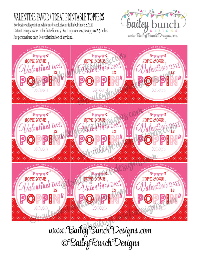 Valentine Pop It Fidget Gift Tags Pink & Red Valentine POPPIN VALENTINE IDVDAYPOPPINVDAYPINKRED0520
